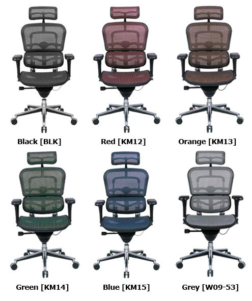 raynor-ergohuman-me7erg-chair-mesh-color-options.jpg raynor-ergohuman-me7erg-chair-mesh-color-options.jpg